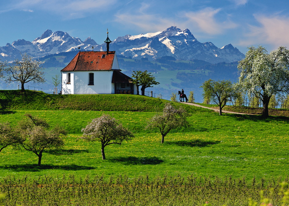 1000 Teile Ravensburger Puzzle Deutschland Collection Wasserburg am