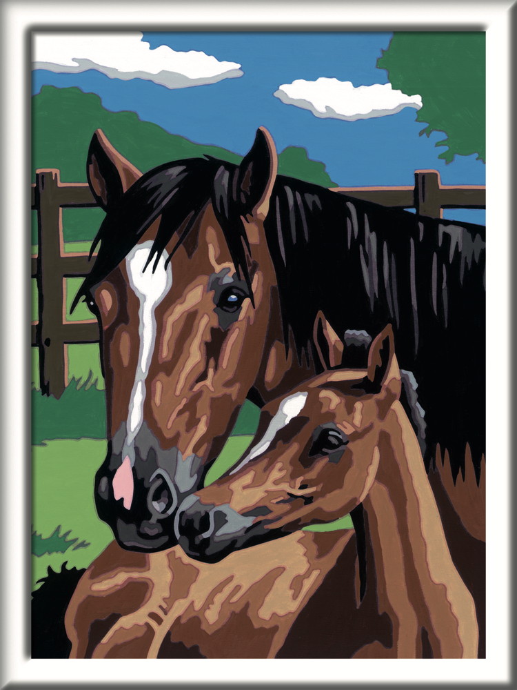 Ravensburger Malen nach Zahlen Classic Serie D Pferde Pferd mit Fohlen