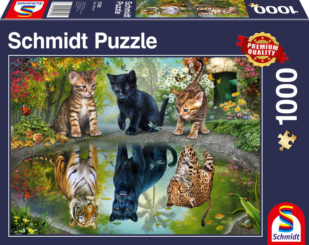 1000 Teile Schmidt Spiele Puzzle Dream Big! 57392