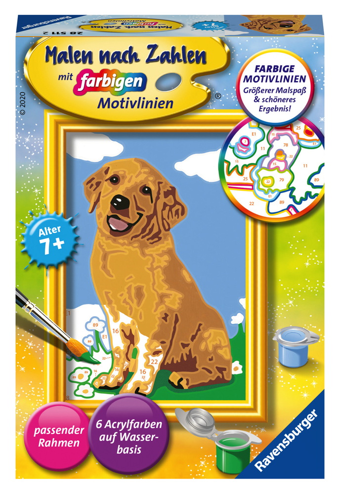 Ravensburger Malen nach Zahlen Classic Serie F Kleiner Golden Retriever