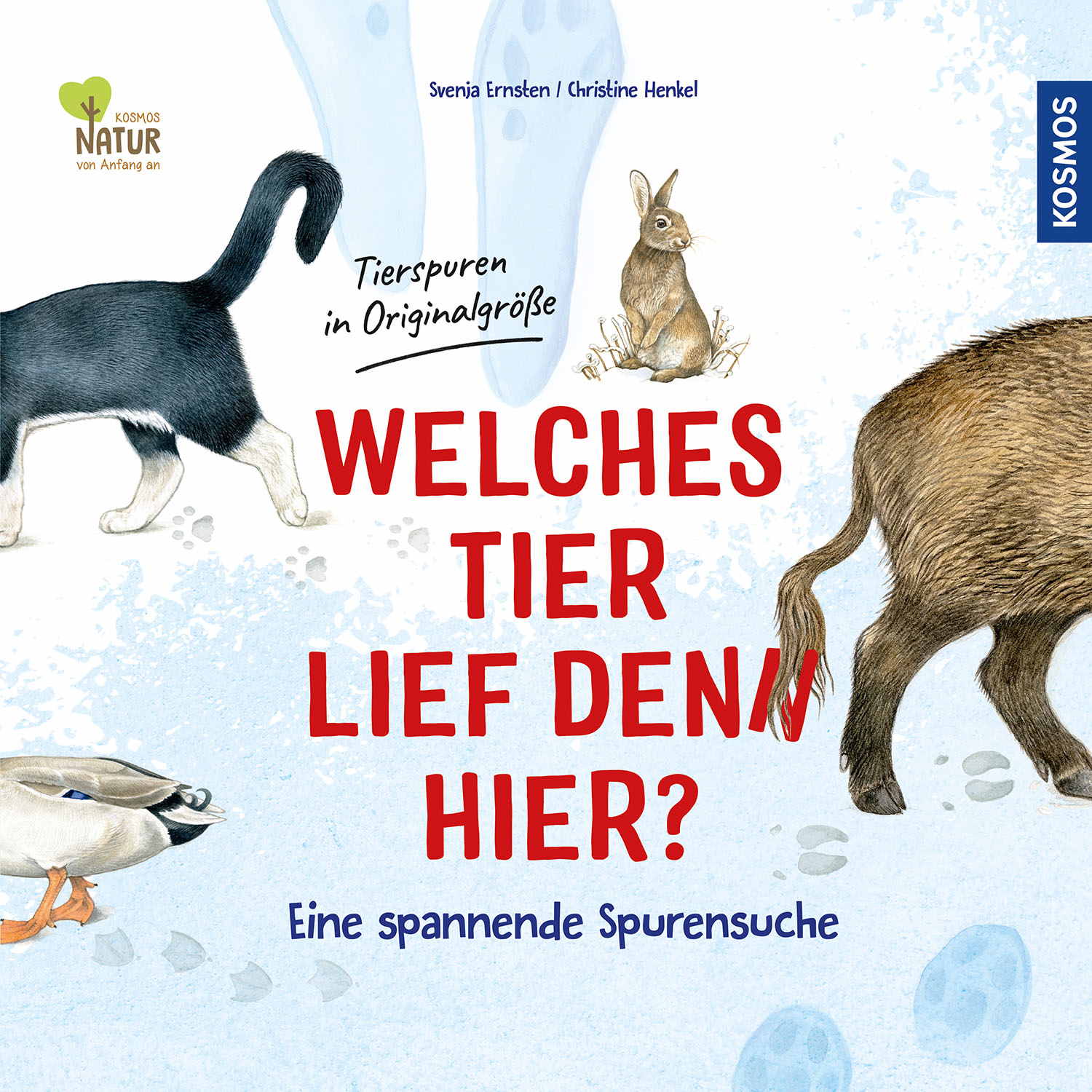 Kosmos Buch Vorlesen Welches Tier lief denn hier? 17581
