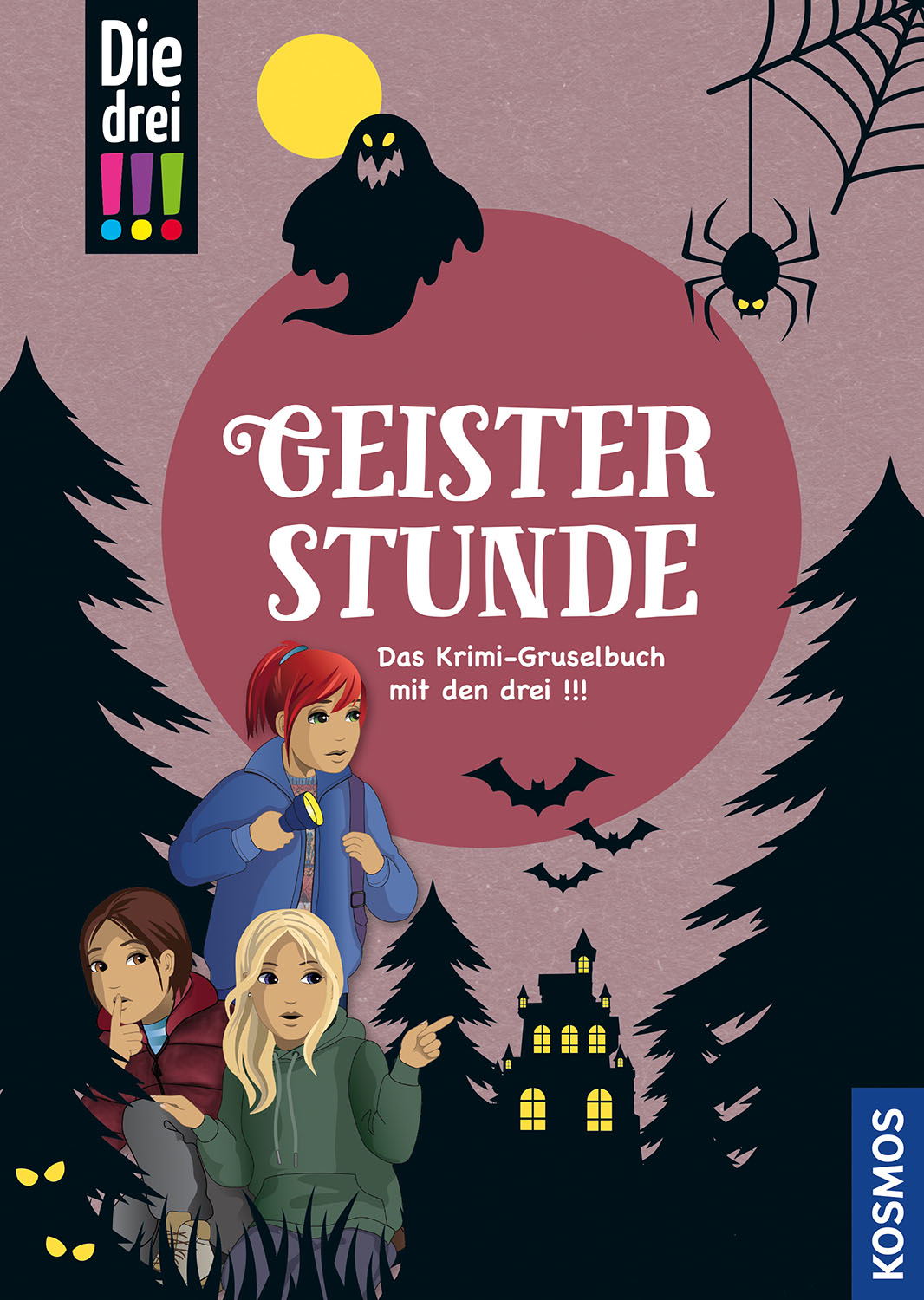 Kosmos Buch Die drei !!! Geisterstunde 17594