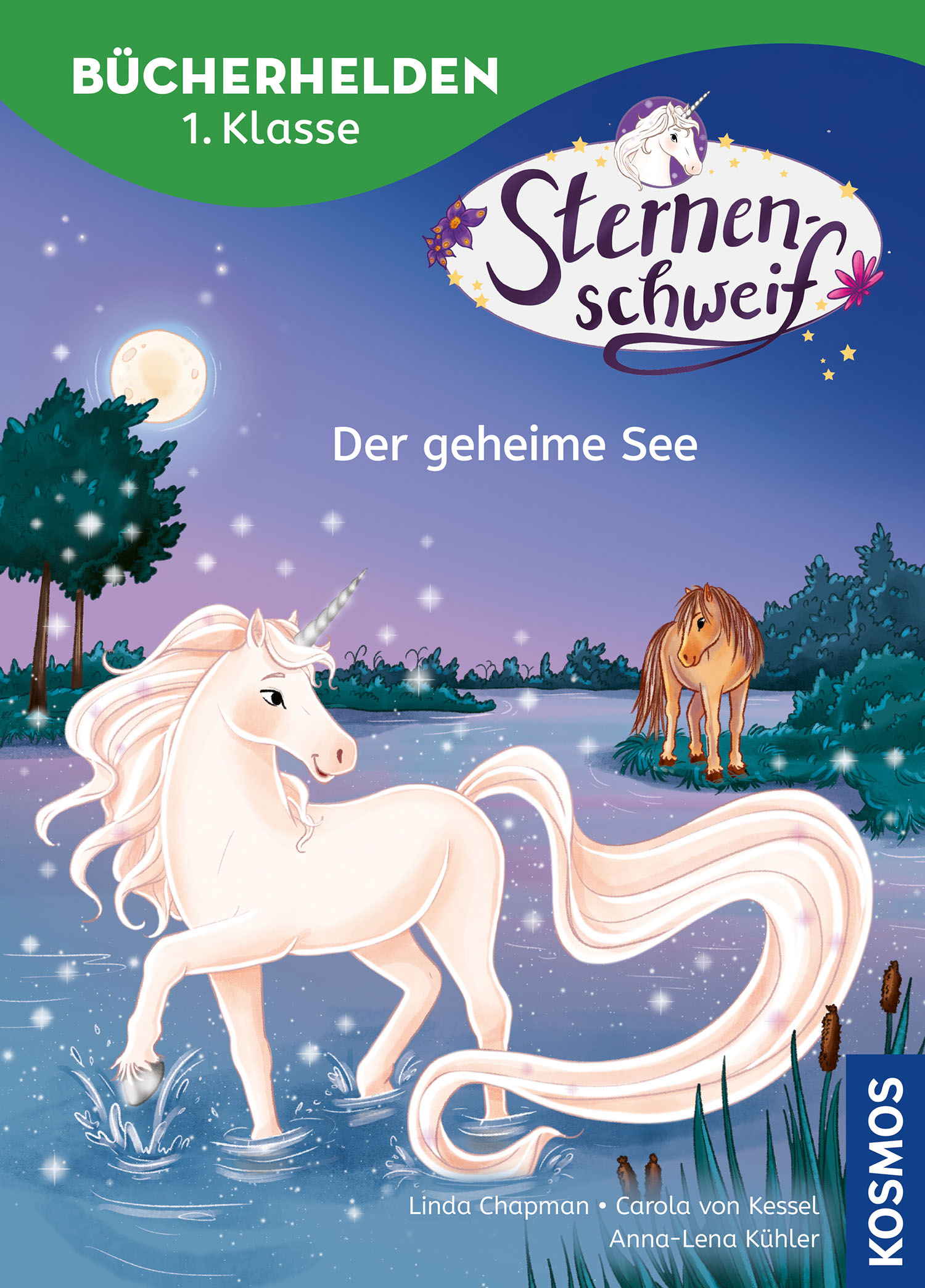 Kosmos Buch Sternenschweif Bücherhelden 1. Klasse Der geheime See 18473