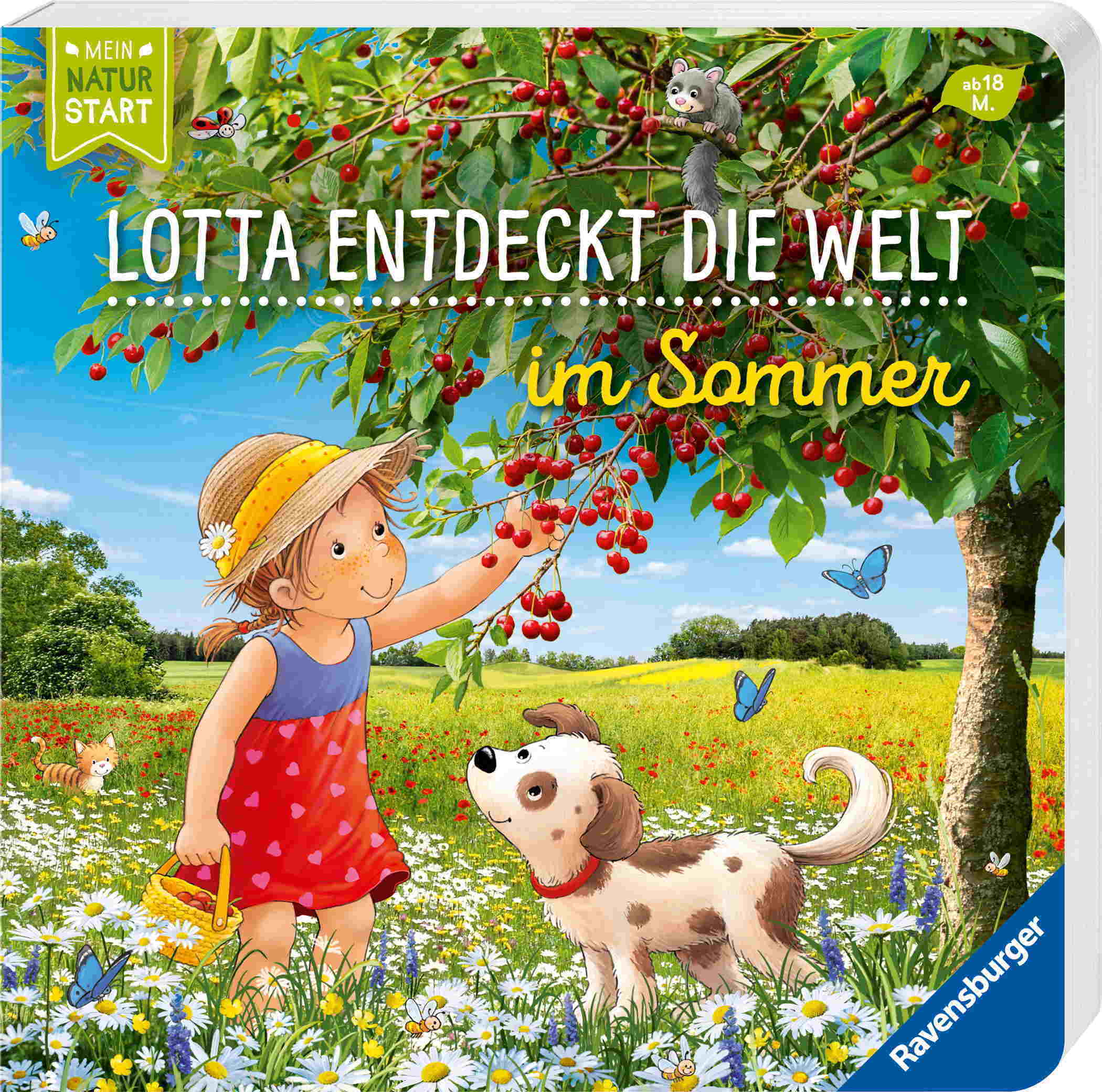 Ravensburger Buch Pappbilderbuch Lotta entdeckt die Welt Im Sommer 41888