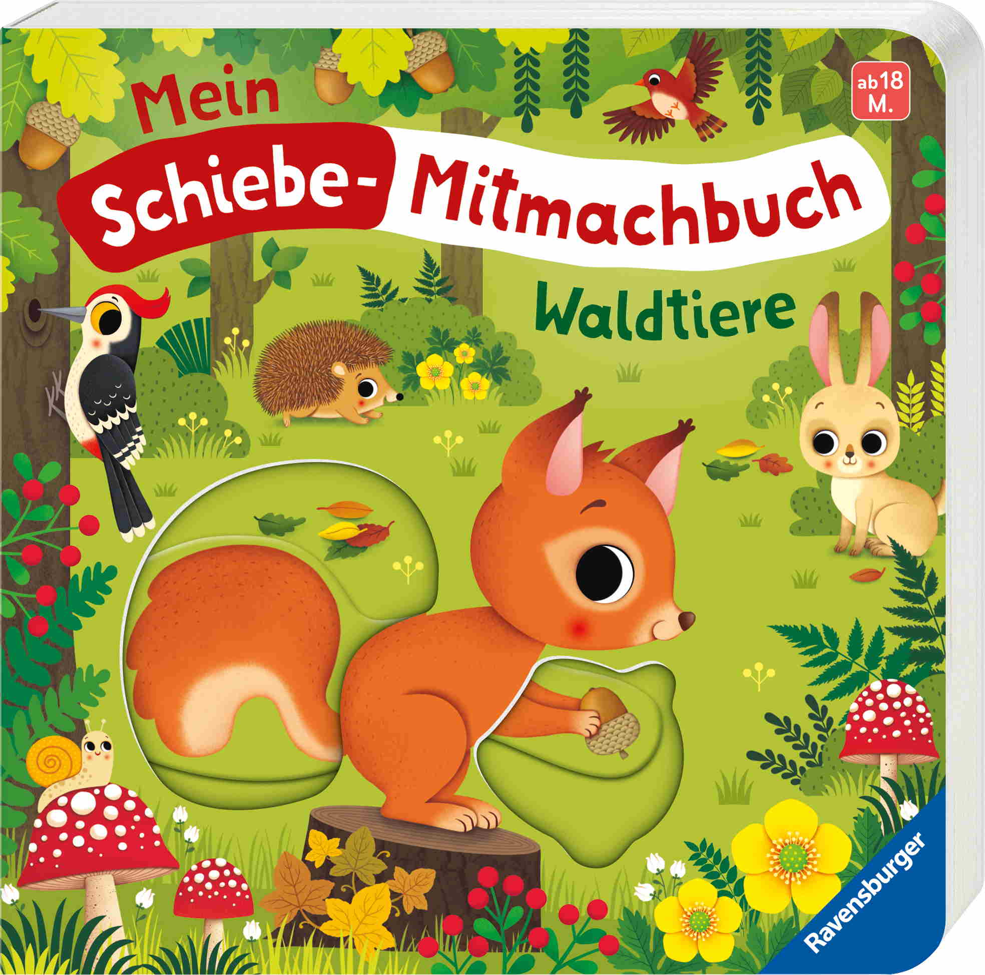 Ravensburger Buch Pappbilderbuch Mitmachen Mein Schiebe Mitmachbuch Waldtiere 42265